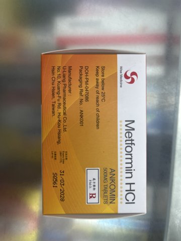 Wise Metformin HCI ANKOMIN_500mg_100`s